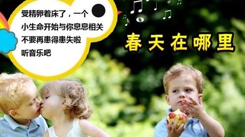 胎教音乐 第4周 春天在哪里
