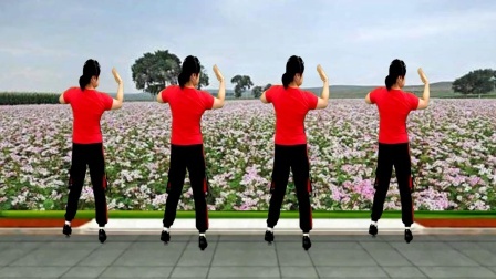 优柔健身操广场舞 第二季 背面演示王二妮一首《荞麦花》歌声清脆 舞步简单好看