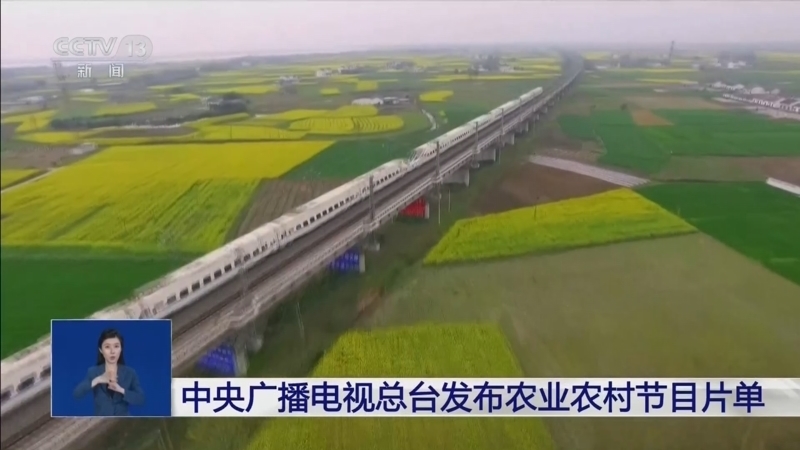 共同关注 《共同关注》 20260203