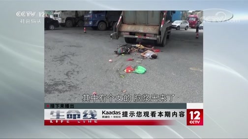生命线 《生命线》 20191112