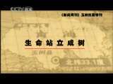 新闻周刊 抗震特刊 生命站立成树