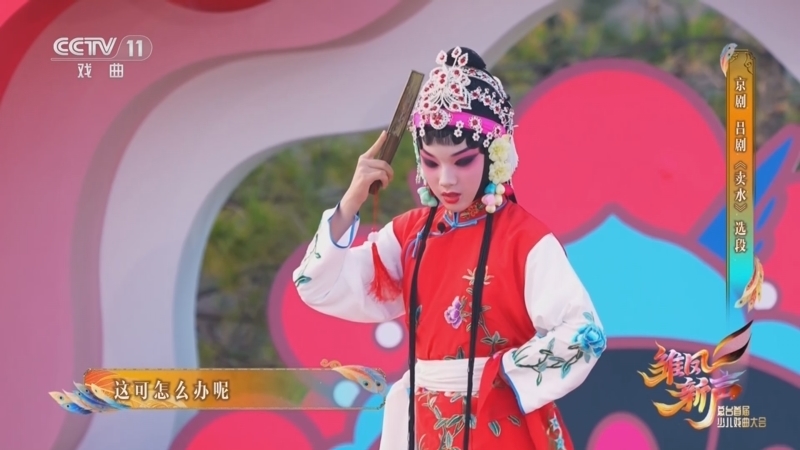 《雏凤新声 总台首届少儿戏曲大会》 20260106