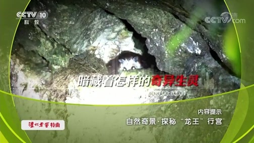 地理中国 《地理中国》 20191009 自然奇景·探秘“龙王”行宫