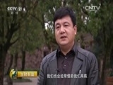 生财有道 《生财有道》 20160428 高铁开启新财路——走进福建武夷山