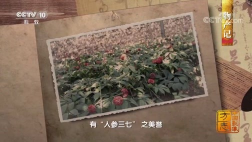 中国影像方志 《中国影像方志》 第548集 云南砚山篇