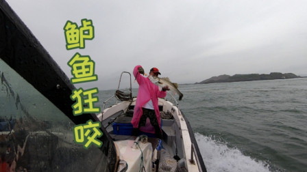 粉丝一个人包阿杰的船，阿杰带他找到鱼群，两个人拉鱼拉到手酸