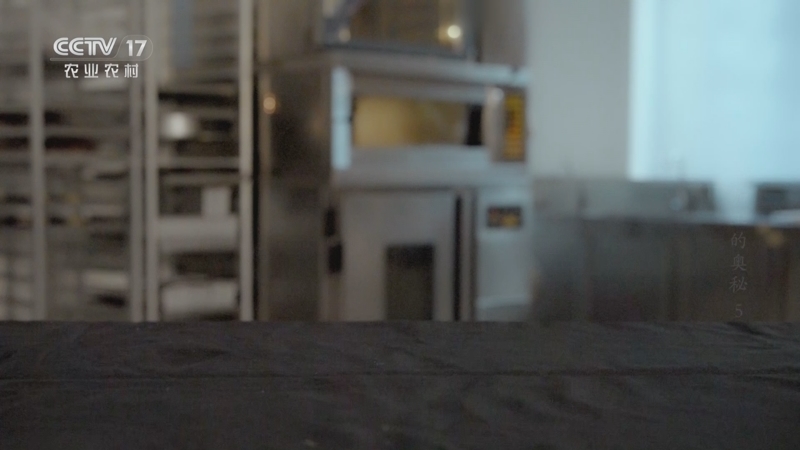 《食品加工的奥秘》 第5集