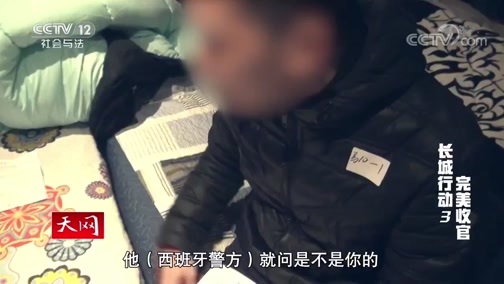 天网 《天网》 20191023 长城行动 第三集 完美收官