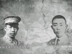蒋介石和他的高官们 蒋介石和他的高官们：王家烈（上）