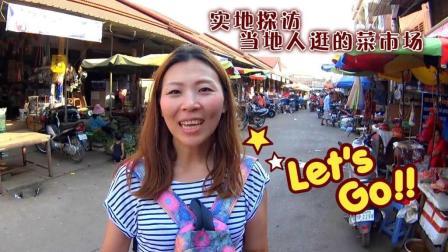 味知的侣行 第一季 这个柬埔寨的菜市场 居然明目张胆地搞价格区别待遇