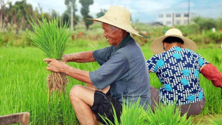 在农村，有什么在城里人面前可以炫耀的东西？