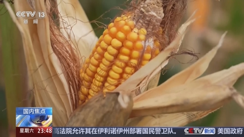24小时 《24小时》 20251018