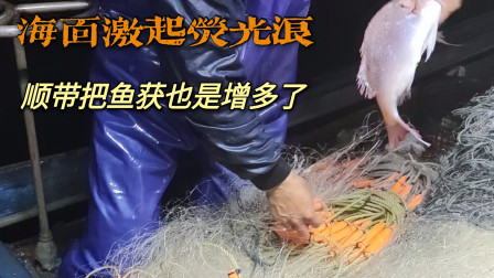 南澳岛赶海日记 海面激起荧光浪好漂亮，真的是难得一遇，顺带渔获也是变多了