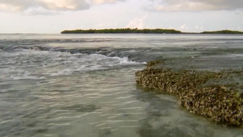 《蓝色星球》第7集