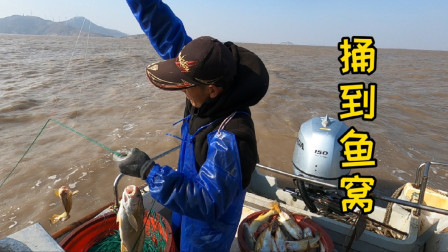 上次狂拉的钓点今天重钩压上，起钩时阿杰越拉越兴奋，不发财都难