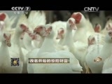 致富经 《致富经》 20150813 改名开始的惊险财富