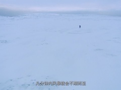 荒野求生第1季（Man vs. Wild Season 1）第14集