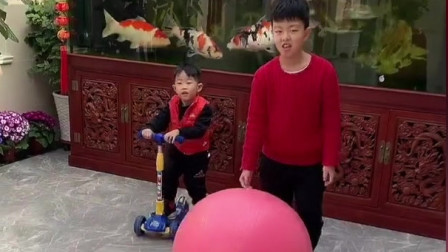两个神兽各种玩各种闹