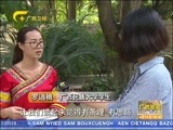 广西新闻 《广西新闻》 20170411
