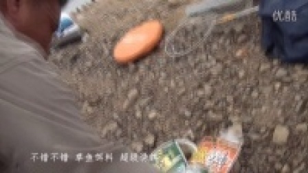 西河水寻草鱼