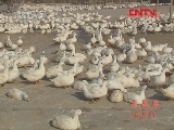 县域经济报道 《县域经济报道》 20111209