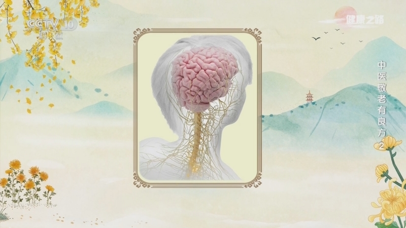 《健康之路》 20251030 中医敬老有良方 2