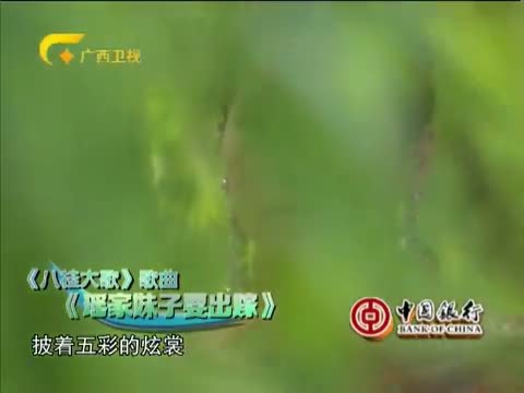 走南闯北广西人 《走南闯北广西人》 20140726 新一代刘三姐-李卫红