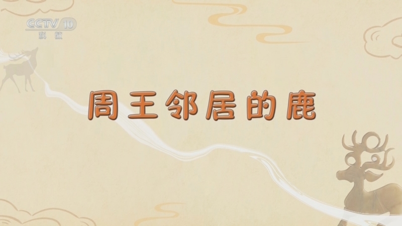 百家讲坛 《百家讲坛》 20241106 博物馆里的动物们 3 周王邻居的鹿