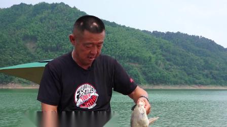 再次来到响洪甸刚下竿的大毛老师便钓获一尾