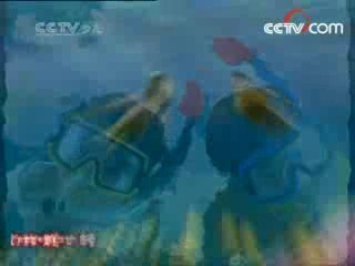 大风车 大风车 2008年 第111期