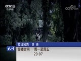天网 《天网》 20180806 离家的少年