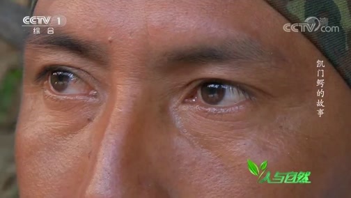 人与自然 《人与自然》 20191012 凯门鳄的故事