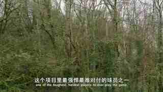 贝爷荒野大冒险 第一季1