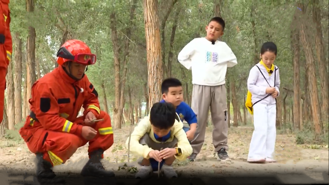 潮童天下 最美新疆喀什地区巴楚县一号护林站之旅  学习森林防火小知识