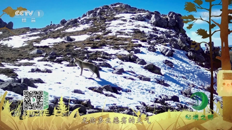 秘境之眼 《秘境之眼》 赤狐 20220922