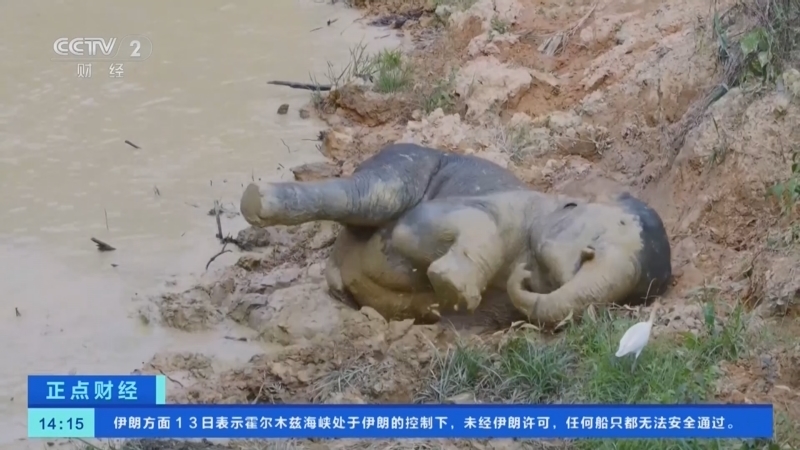 正点财经 《正点财经》 20260814 14:00