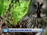 晚间报道 《晚间报道-内蒙古》 20170402
