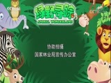 绿野寻踪 《绿野寻踪》 20180516