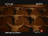 洪荒大庆 《探索·发现》 20121014 洪荒大庆（三）：猛犸之死
