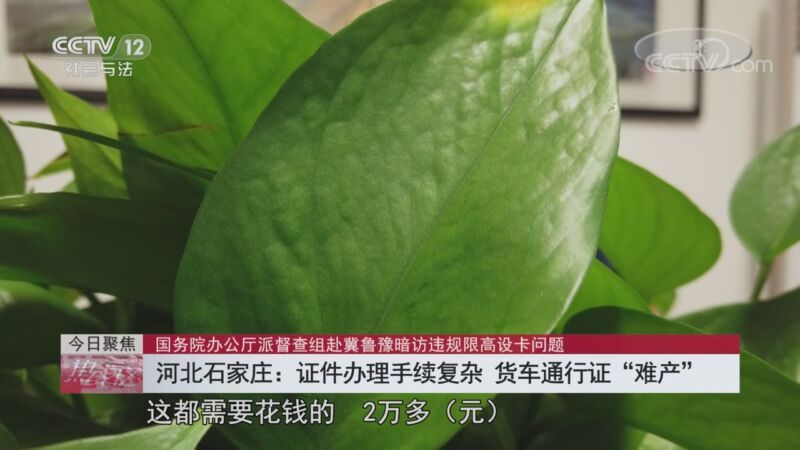 热线12 《热线12》 20201014