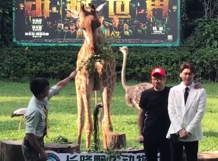 峰记本-李易峰资源博 幸福的峰峰与长颈鹿合影