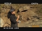 远方的家 《百山百川行》特别节目 山野美猴王《远方的家》 20130819