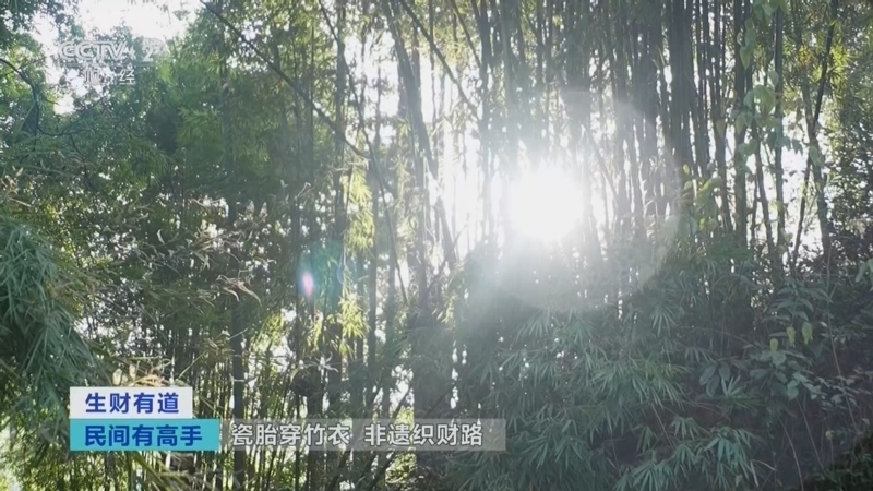 《生财有道》 20260319 民间有高手：瓷胎穿竹衣 非遗织财路