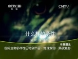 地理中国 《地理中国》 20150517 国际生物多样性日特别节目·地球家园·黑夜魅影