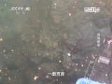 走近科学 《走近科学》 20150609 深海探奇