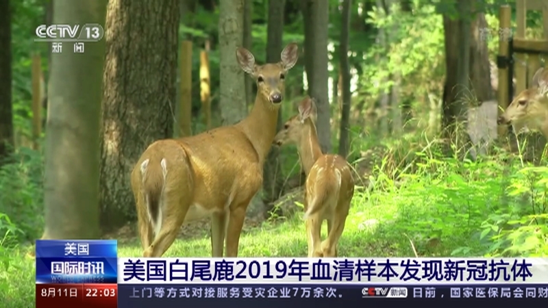 《国际时讯》 20210811