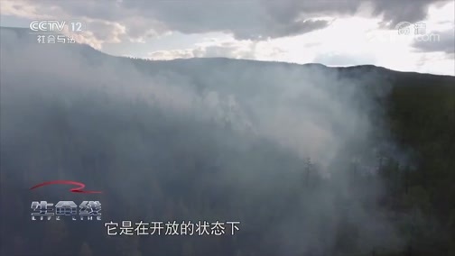 生命线 《生命线》周末特别节目《应急时刻》 20191103