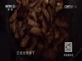 天天饮食 《天天饮食》 20141230 山笋煨牛腩