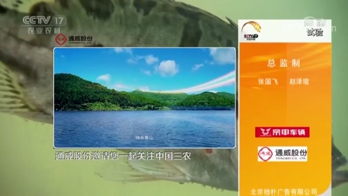 致富经 《致富经》 20190820 浪子回头 我要活出个人样来