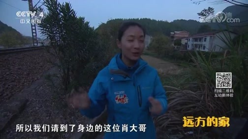 远方的家 《远方的家》 特别节目《大好河山》——三级阶梯看中国（8） 第三阶梯上的动植物乐园 20181018